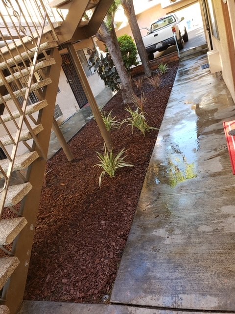 property for rent #4